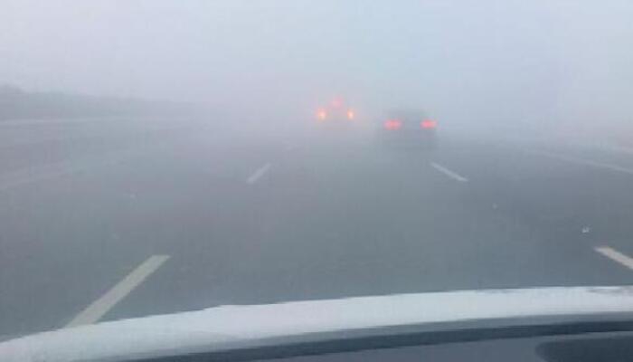 哈尔滨部分高速因大雾交通管制 局部能见度不足200米出行小心