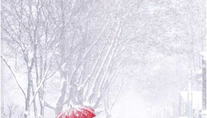 黑龙江黑河伊春等雨雪侵袭  哈尔滨明迎雨夹雪8日暴雪