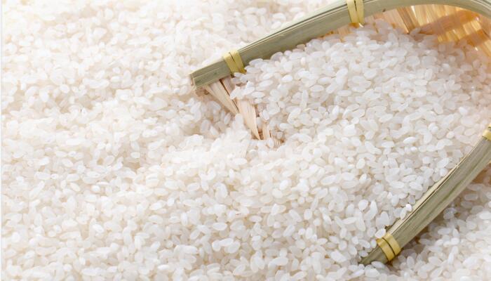 为什么密封很好的大米还会长出米虫 密封很好的大米还有米虫是什么原因