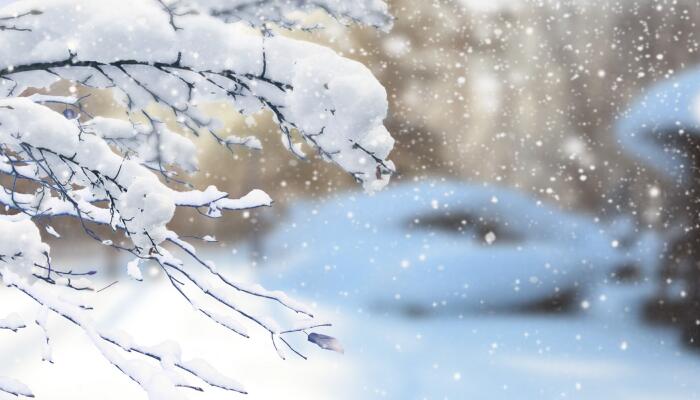 沈阳冻雨已致10起连环追尾事故 预计今还将有强降雪天气局部大暴雪