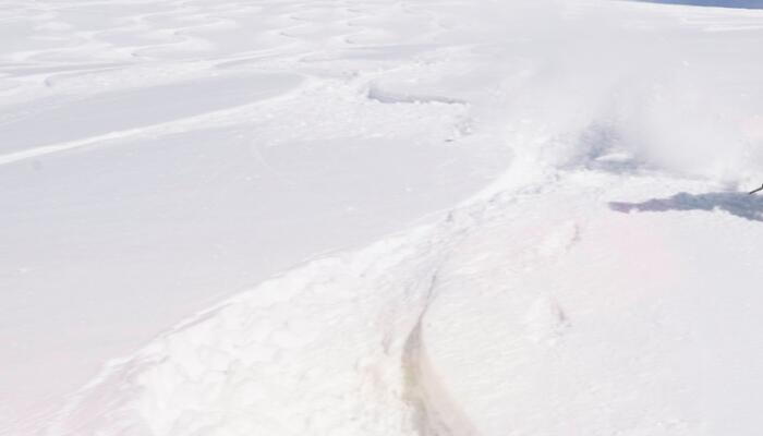 气象观测员积雪中手脚并用前行 最大积雪深度达50厘米