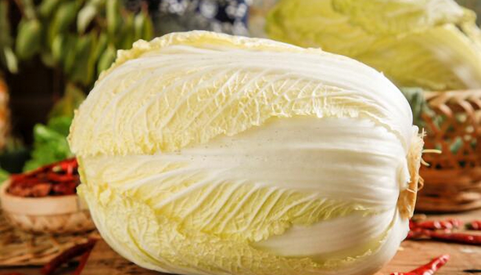 韩国腌20棵泡菜成本近2000元 白菜主产地遭遇软腐病害