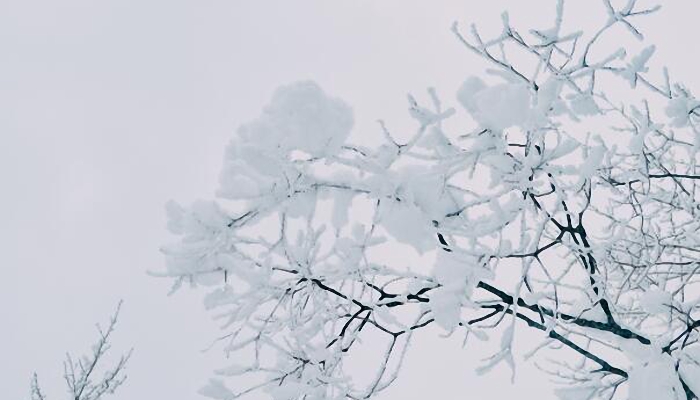 东北本轮降雪有极端性 预计今东北仍有明显降雪