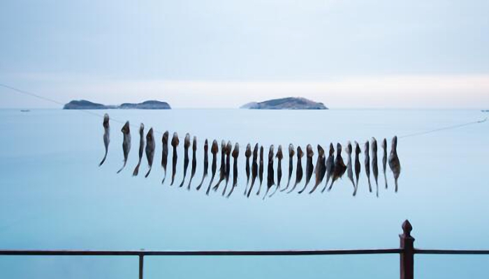 2021小雪是幾點(diǎn)幾分 今年小雪具體準(zhǔn)確時(shí)間點(diǎn)