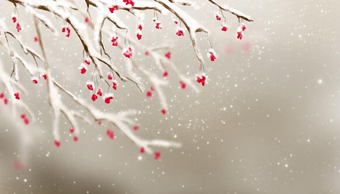 小雪是二十四节气的第几个节气 小雪节气在24节气中排第几
