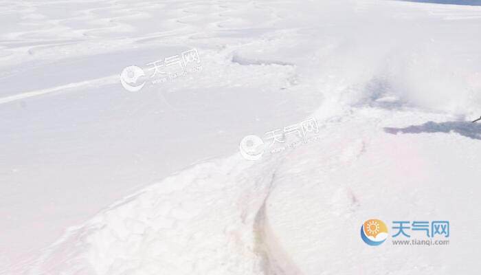 内蒙古通辽市民开启雪中挖车模式 挖完也开不出去雪围如“雪库”