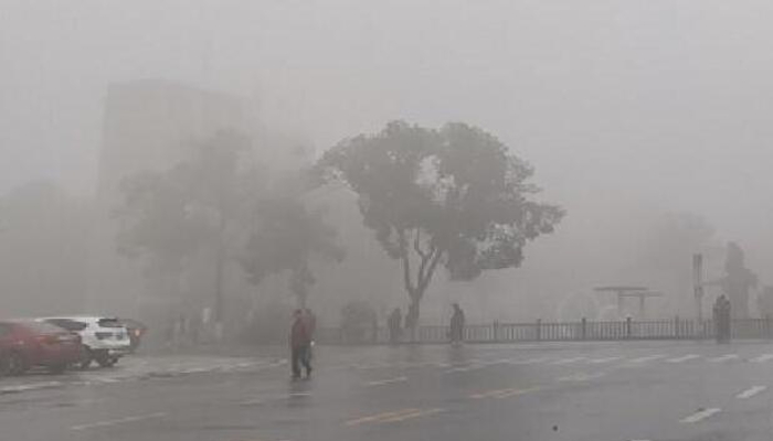 重庆发布大雾黄色预警 潼南合川等局部能见度不足200米