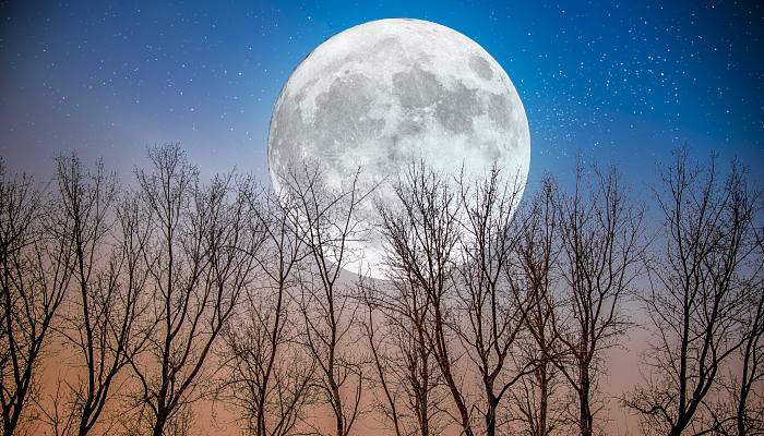 木星伴月天象预兆 木星伴月象征着什么