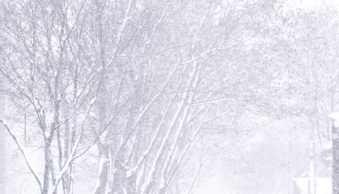 小雪節(jié)氣天氣特點(diǎn)是什么 小雪物候特征有什么