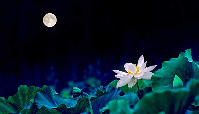 月亮上面有顆星星代表什么 月亮上方有顆星星有什么意思