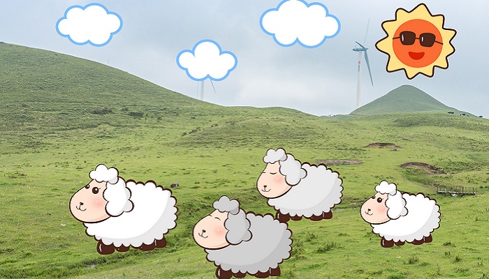冬季养羊需要注意什么 养羊冬天如何保暖