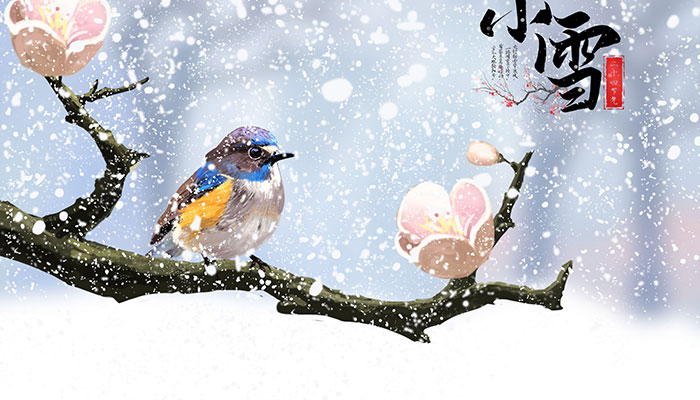小雪节气下雪有什么说法 小雪节气的含义是什么