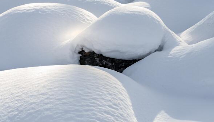 黑龙江再迎暴风雪积雪已达34厘米 雪灾如何防御