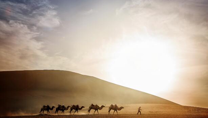 阿拉善沙漠是几大沙漠的统称 阿拉善沙漠是什么沙漠