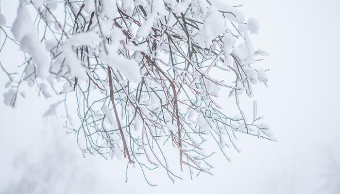 黑龙江再迎暴风雪积雪已达34厘米 雪灾如何防御