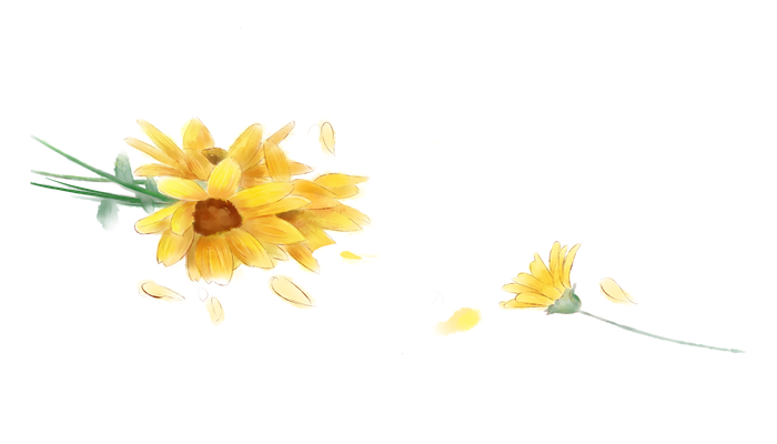 加拿大一枝黄花用什么除草剂效果好 加拿大一枝黄花用哪种除草剂作用好