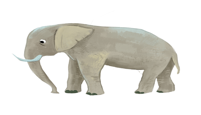 大象的长鼻子里有几块骨头 大象长鼻子里面有多少块骨头