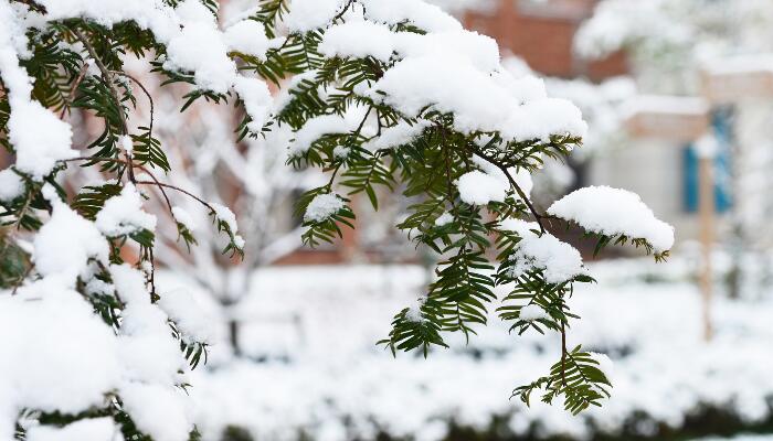 华北东北要下雪了 北方城市雨雪进程图