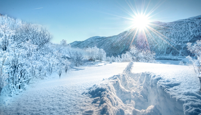 今年的数九天从什么时候开始 2021年数九第一天是12月21日吗