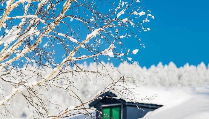 新疆北部仍有明显降雪 东海南海等部分海域大风可达9级