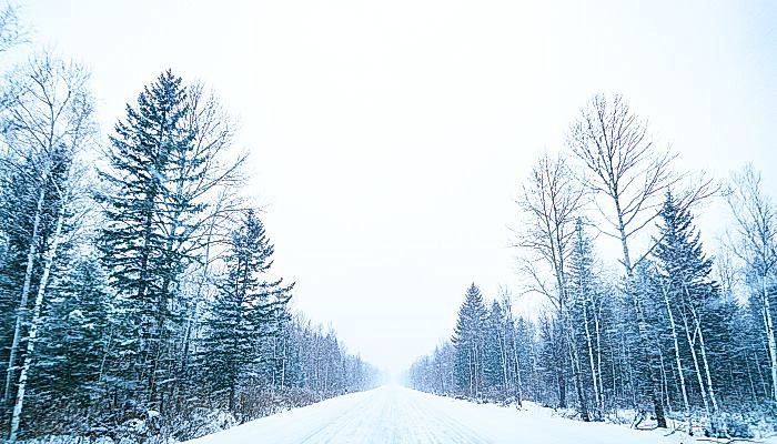 2022年春节数九第几天 2022年春节是几月几号几九