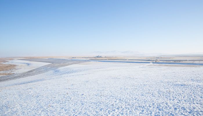 2021民间数九寒冬的顺口溜 数九的顺口溜怎么说