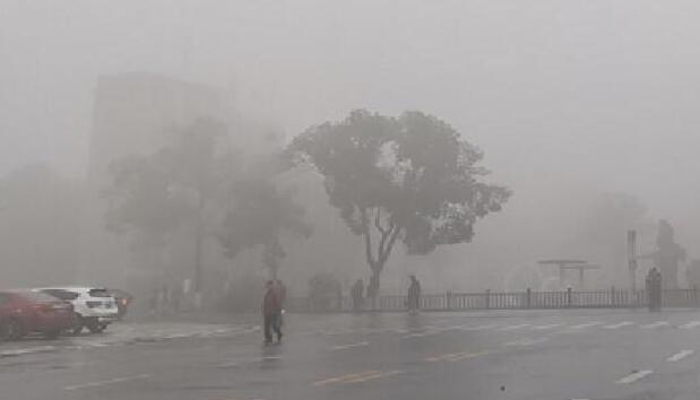 秋冬季大雾多发如何防御 大雾天气如何开车安全