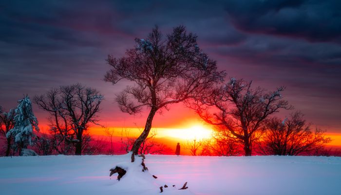 2021年数九农历时间表 2021年数九天时间表阴历