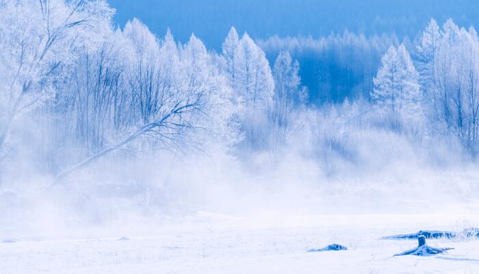 呼伦贝尔现极寒天气单元门被冰封 极端最低气温为零下47.1℃