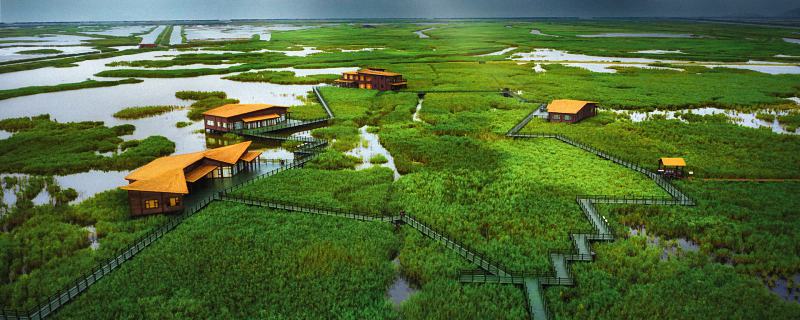 2022元旦广州海珠湿地公园要预约吗 2022元旦广州海珠湿地公园预约方式