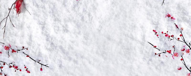 三九是從哪天開始的2021 2021年三九從哪一天開始