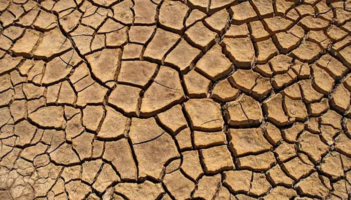 今年华南降水量为2004年来最少 气象干旱给农业生活等带来不利影响