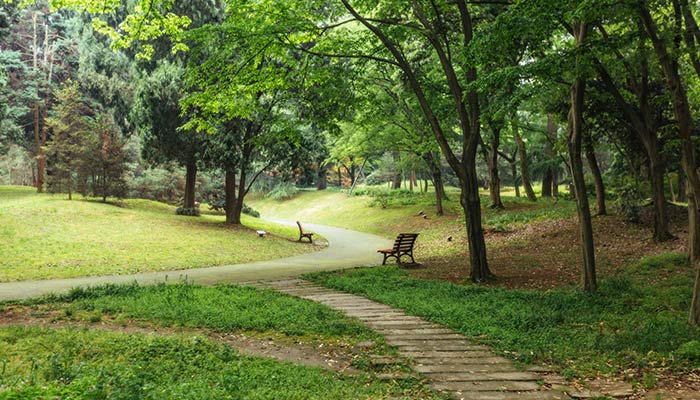 长沙植物园在长沙什么位置 湖南省森林植物园怎么去