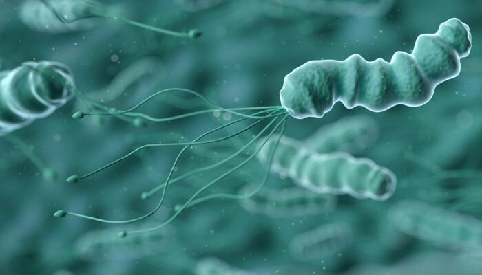 感染幽门螺杆菌会得胃癌吗  如何预防感染幽门螺杆菌