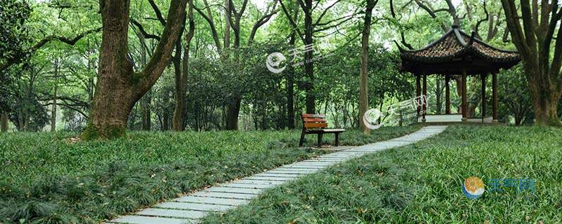 2023广州植物园开放时间 华南植物园几点钟关门 