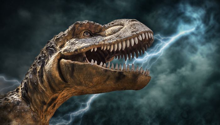 广东肇庆首个恐龙遗迹被发现 共7个兽脚类恐龙脚印