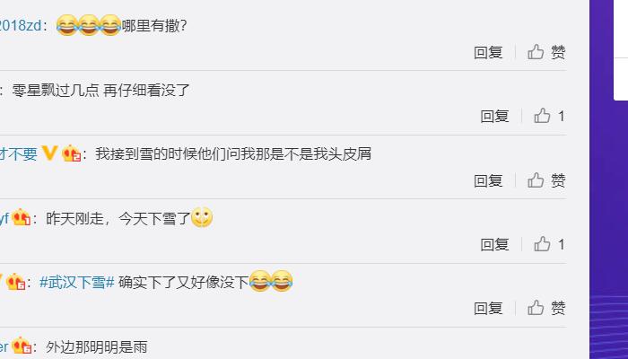 武汉下雪网友的评论有多好笑 小得连广东人都不稀得看