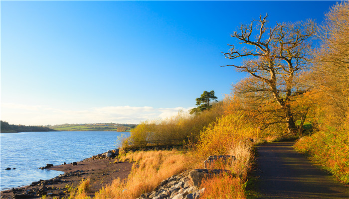 ie是哪個國家的縮寫 ie是什么國家的縮寫