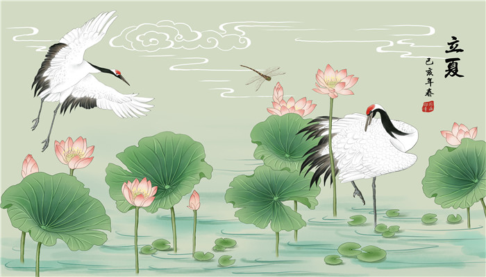 白鶴是國家?guī)准墑游?白鶴是國家?guī)准壉Ｗo動物