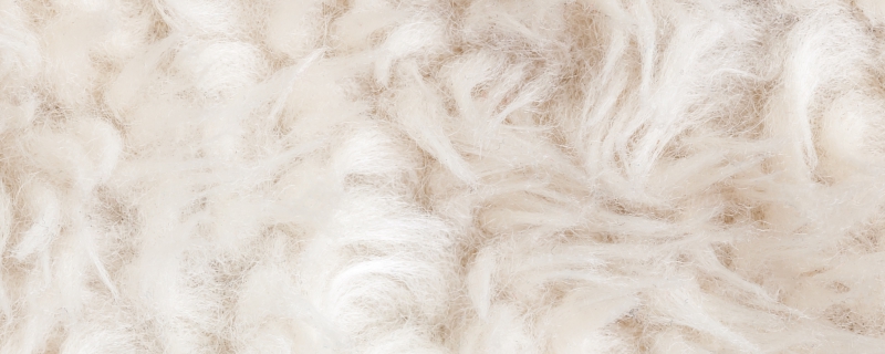 环保毛是什么材料 环保毛是哪种材料