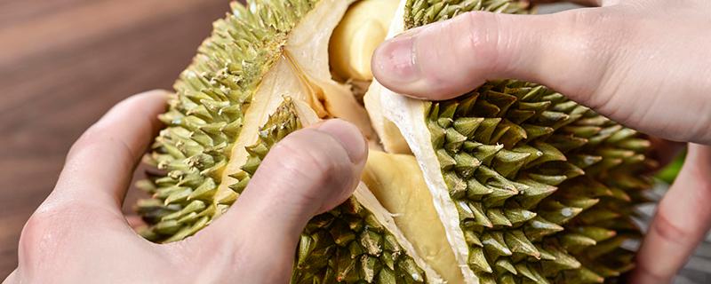 榴蓮肉放冰箱可以放幾天 榴蓮肉放冰箱能放多少天