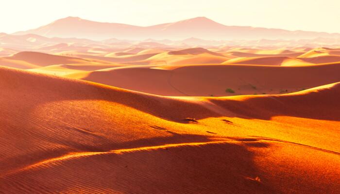 撒哈拉沙漠下雪骆驼卧沙丘上看雪 骆驼：这都被我遇到了