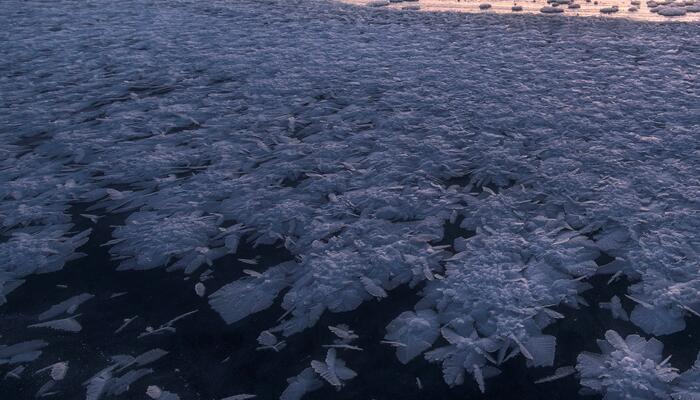 新疆博斯腾湖开出洁白冰花 冰花奇观是怎么形成的