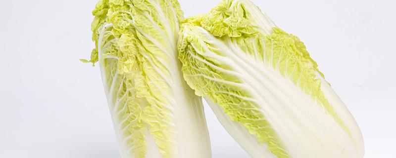 白菜外面壞了剝掉里面的還能吃嗎 白菜外面爛了剝掉里面還可以吃嗎