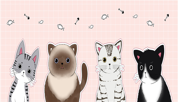 魚骨圖中魚刺的顏色代表什么 魚骨圖中魚刺的顏色代表啥意思