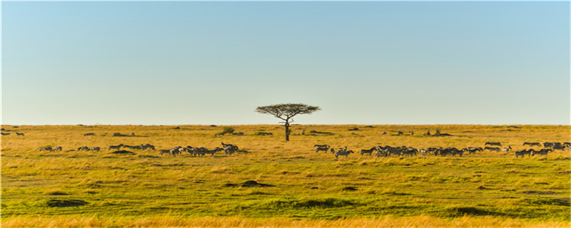 卡巴利亞是國家還是城市 卡巴利亞指的是國家還是城市