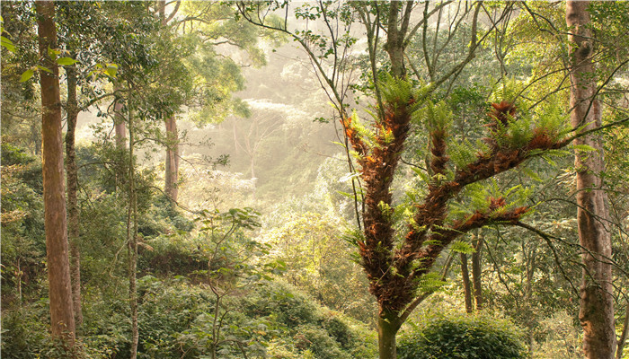 卡巴利亞是國家還是城市 卡巴利亞指的是國家還是城市