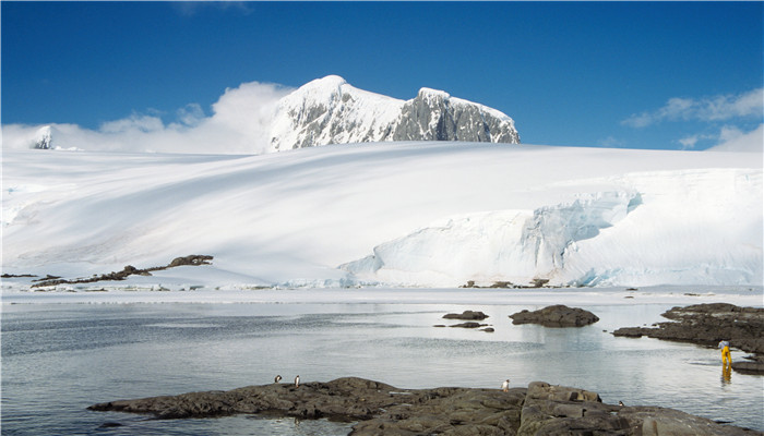 世界上最大的冰川在哪个大洲 世上最大的冰川在什么大洲
