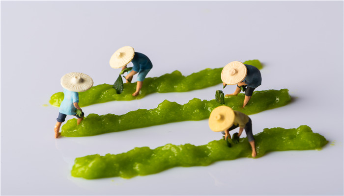 芥末為什么叫瓦薩比 芥末為什么稱為瓦薩比