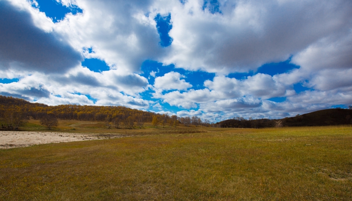 東北平原土壤酸堿度 東北平原的土壤酸堿度是怎么樣的